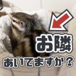 お隣あいてますか？