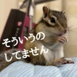 そういうのしてません