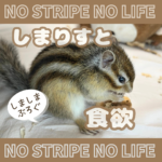 しまりすと食欲