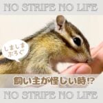 飼い主が怪しい時！？