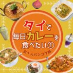 【peach航空】タイで毎日カレーを食べたい【深夜便】