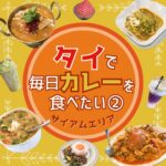 タイで毎日カレーを食べたい【２】サイアムエリア