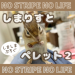 しまりすとペレット２