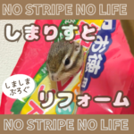 しまりすとリフォーム