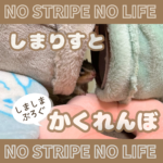 しまりすとかくれんぼ